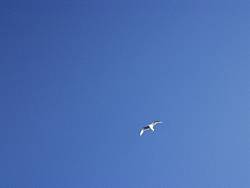 tofinotrip004.JPG