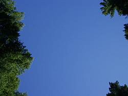 tofinotrip014.JPG