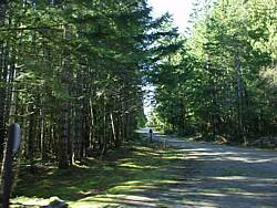 tofinotrip016.JPG