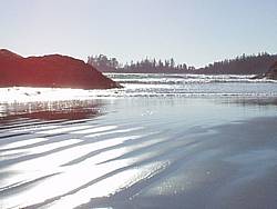 tofinotrip028.JPG