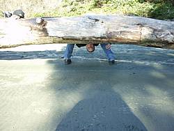 tofinotrip034.JPG