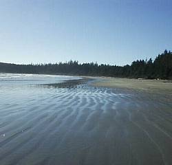 tofinotrip040.JPG