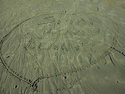 tofinotrip043.JPG