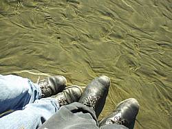 tofinotrip044.JPG