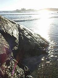 tofinotrip052.JPG