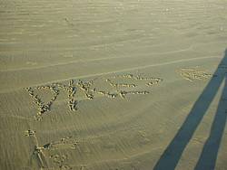 tofinotrip057.JPG