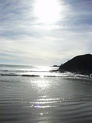 tofinotrip070.JPG